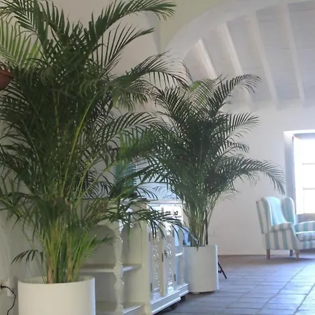木屋 Lagar De Trevenez Montes De